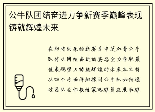 公牛队团结奋进力争新赛季巅峰表现铸就辉煌未来