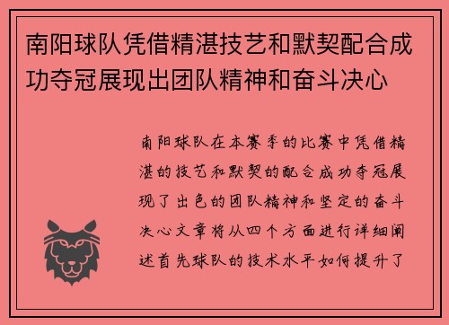 南阳球队凭借精湛技艺和默契配合成功夺冠展现出团队精神和奋斗决心