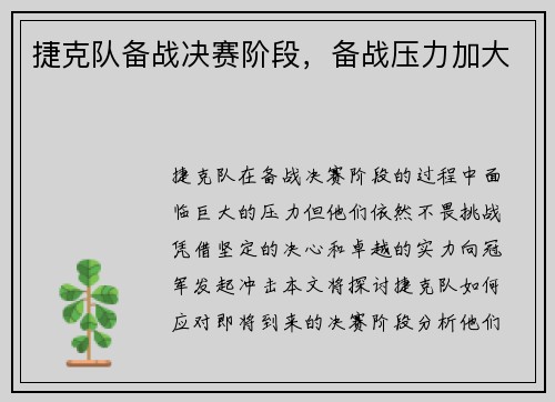 捷克队备战决赛阶段，备战压力加大