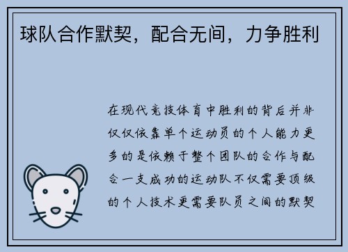 球队合作默契,配合无间,力争胜利