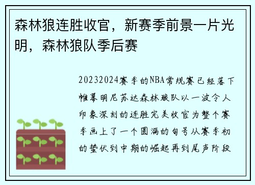 森林狼连胜收官,新赛季前景一片光明,森林狼队季后赛