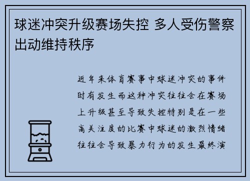 球迷冲突升级赛场失控 多人受伤警察出动维持秩序